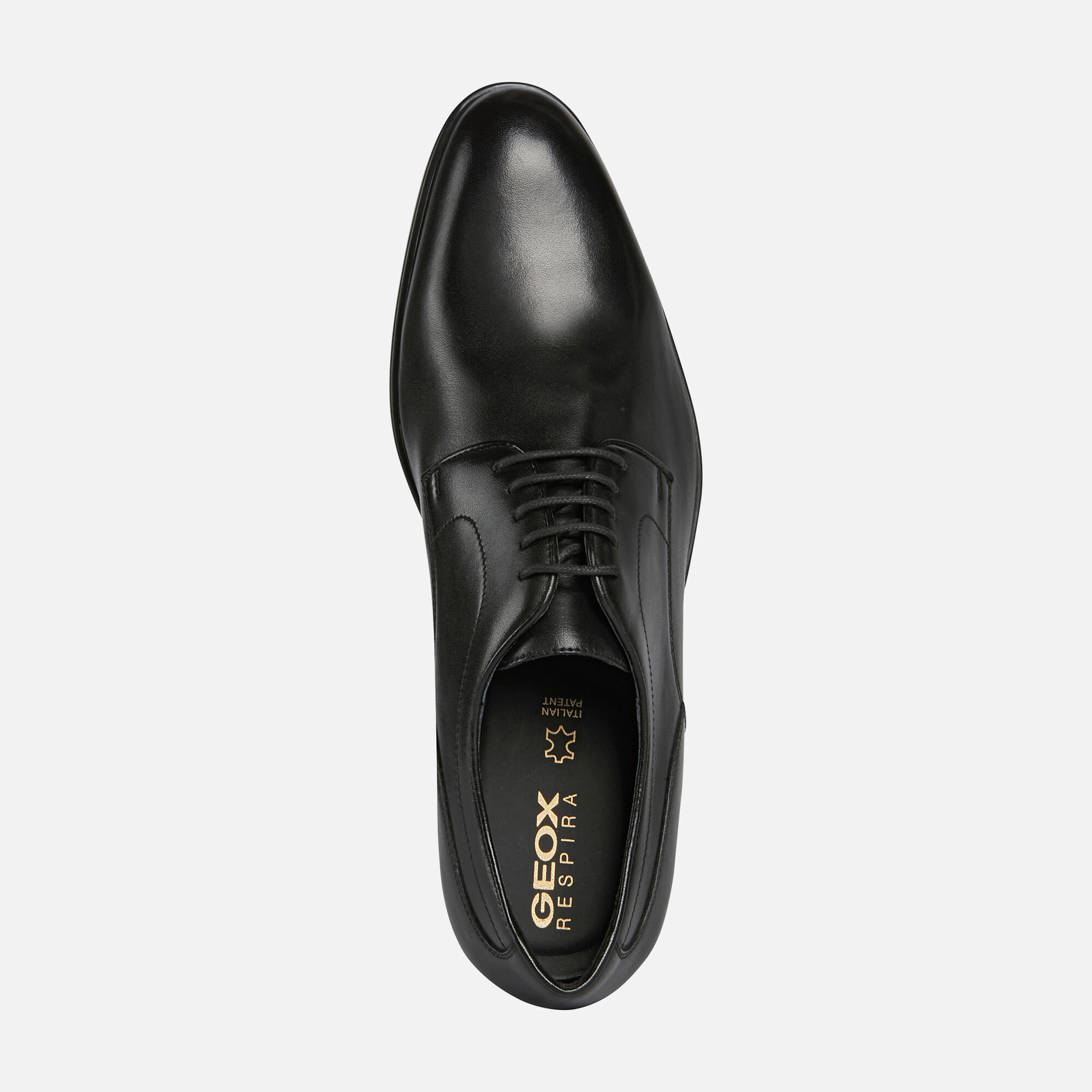geox formal shoes