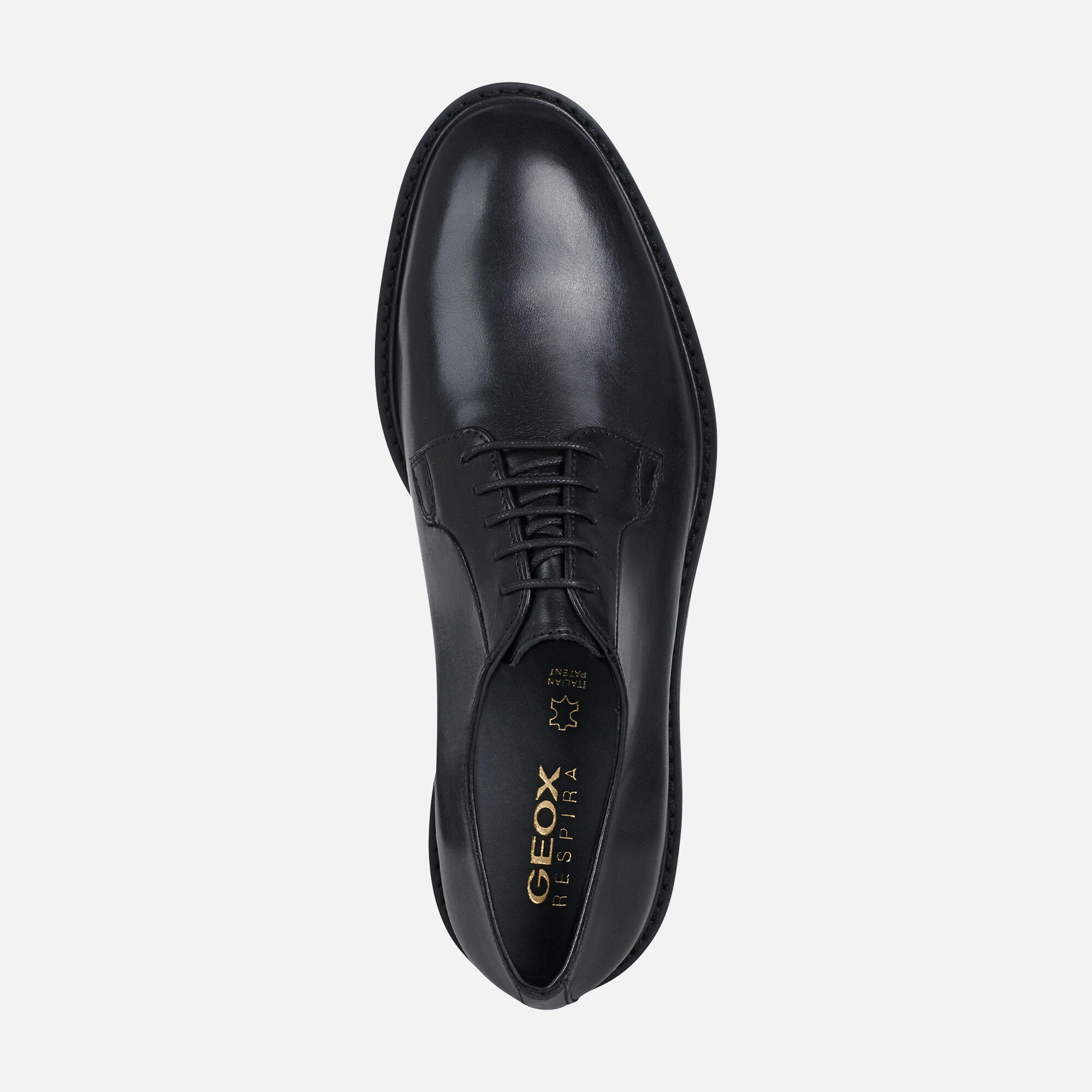 Geox® CANNAREGIO Man: Black Shoes 