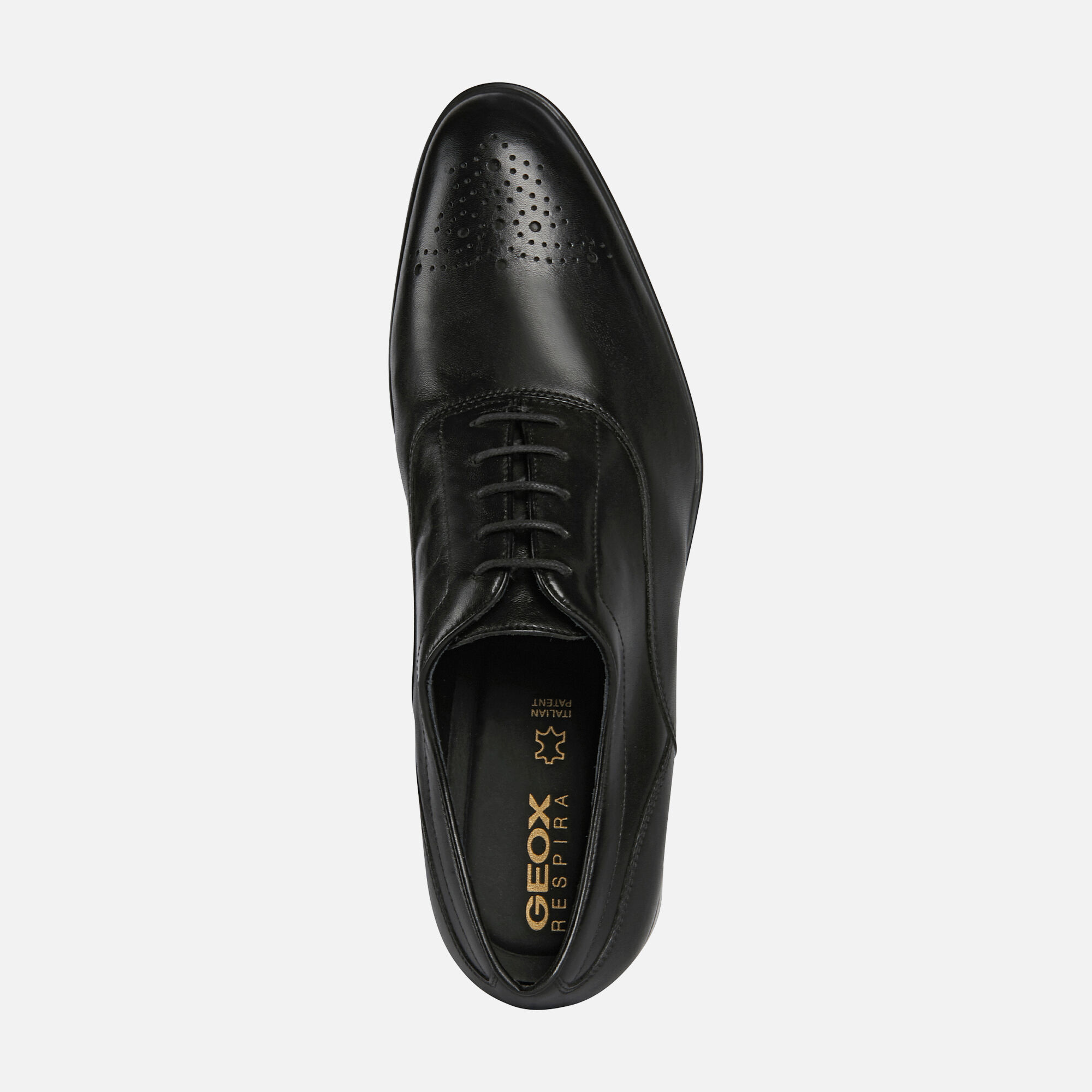 Geox® IACOPO Man: Black Shoes | Geox® FW21