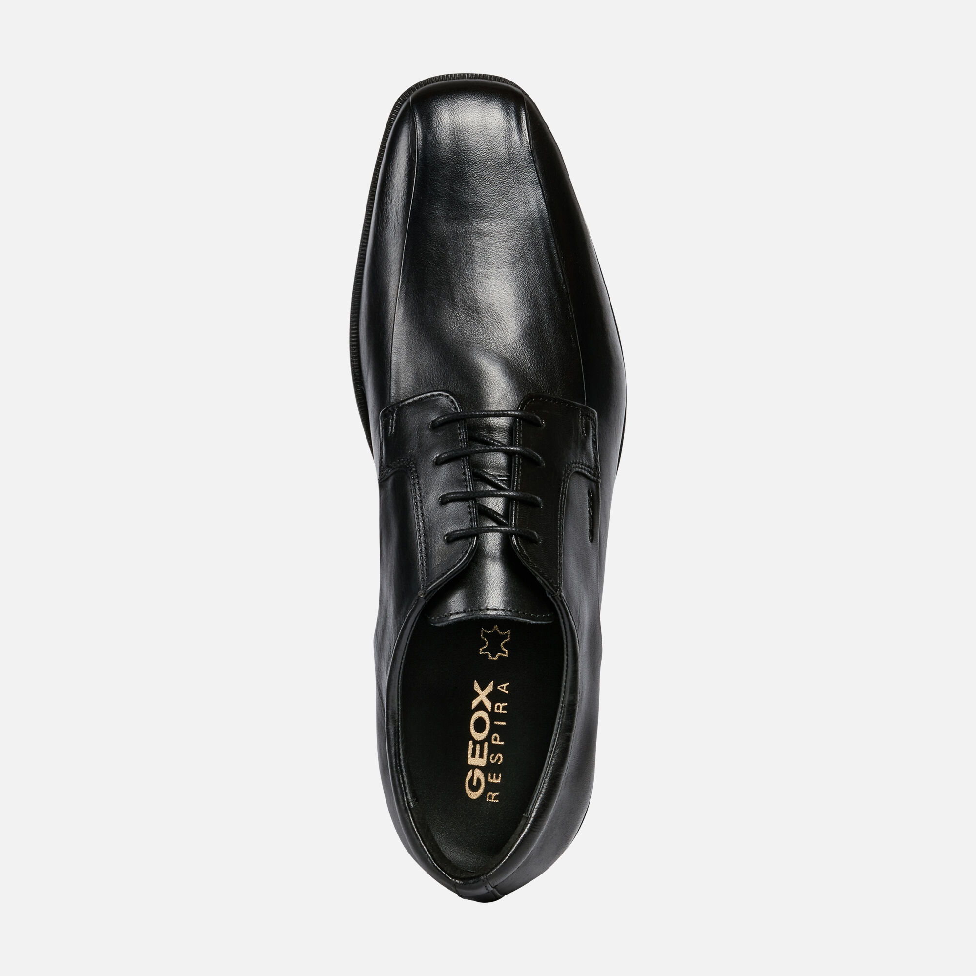Geox CALGARY Man: Black Shoes | Geox 