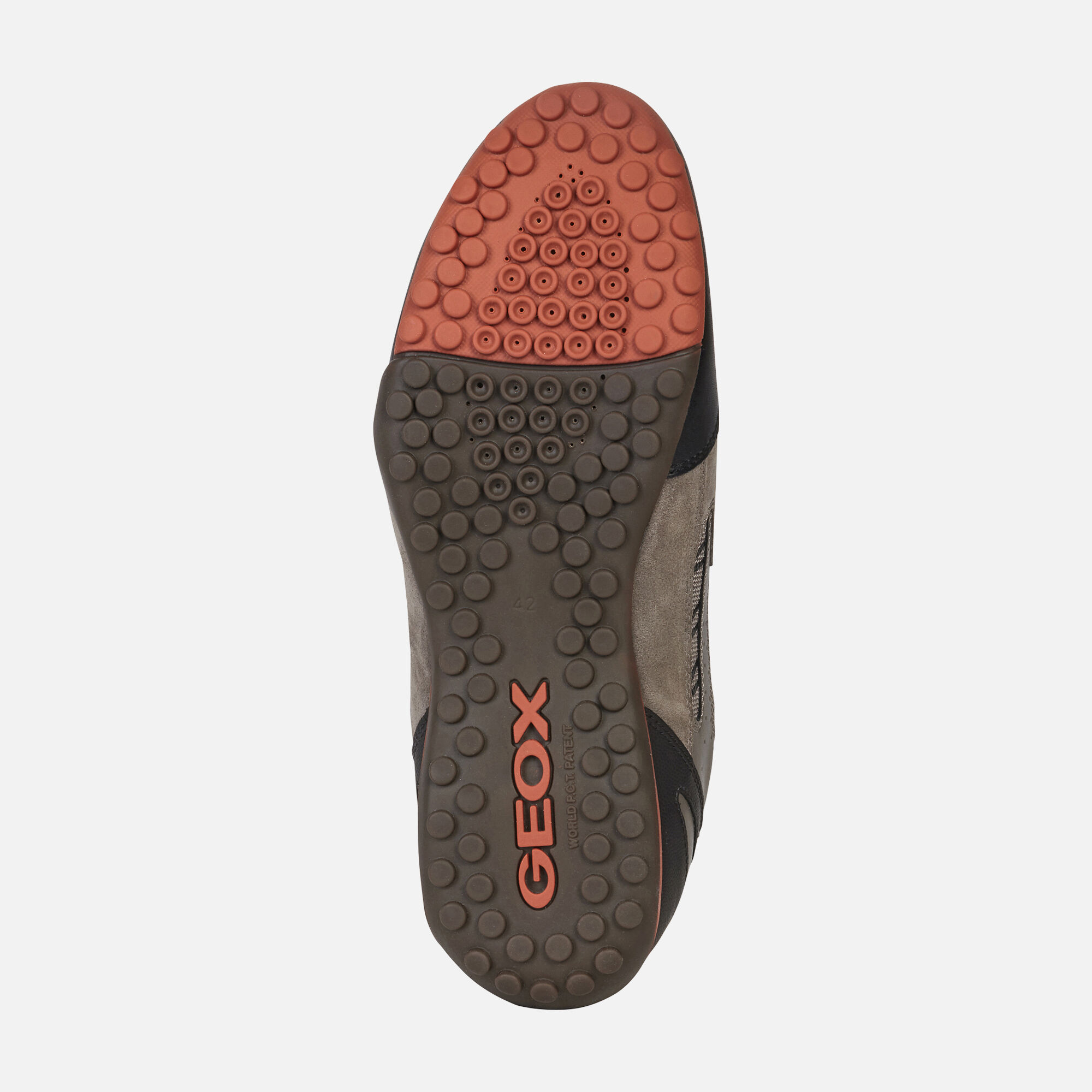 geox sneakers snake