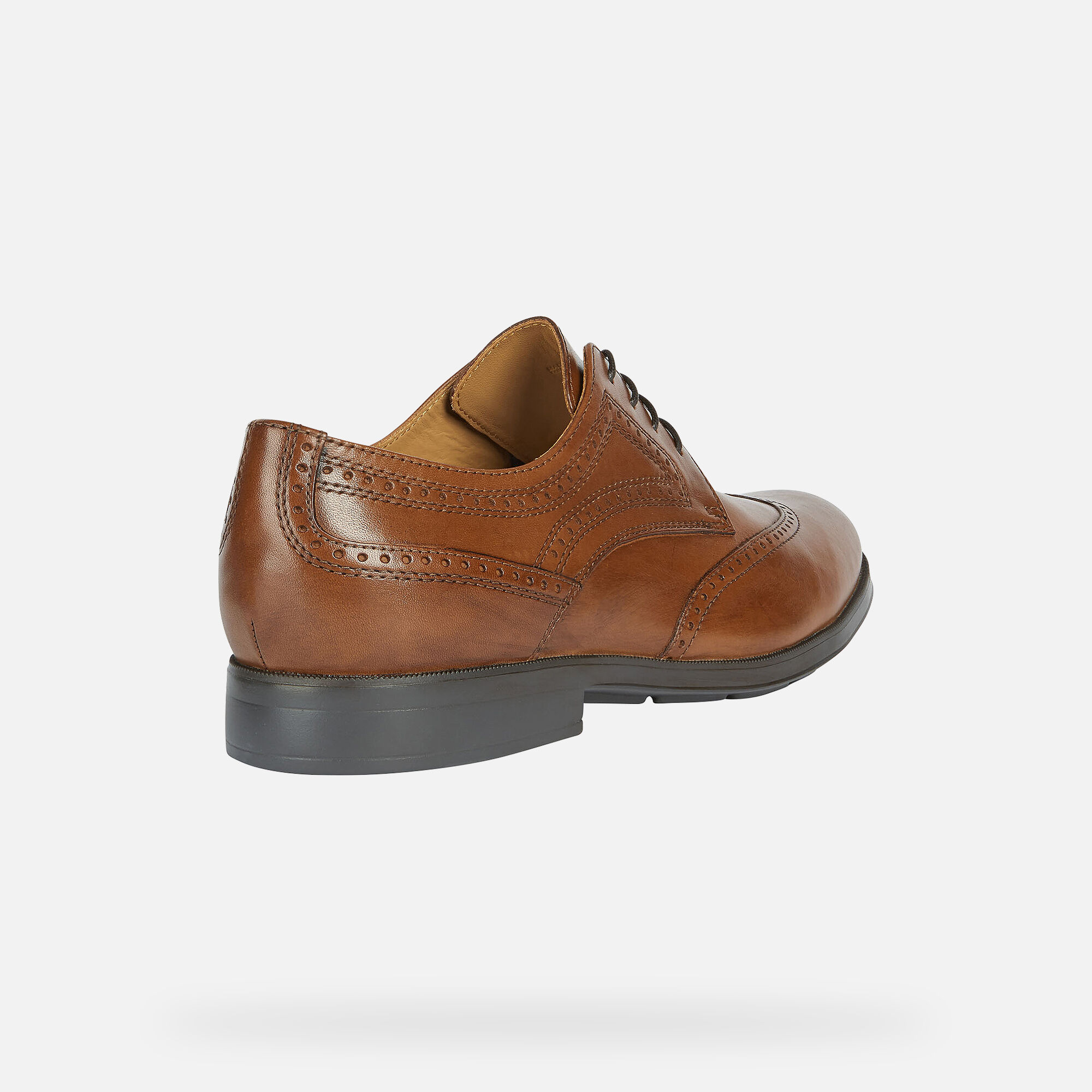 Geox® HILSTONE WIDE Man: Shoes | Geox® FW21