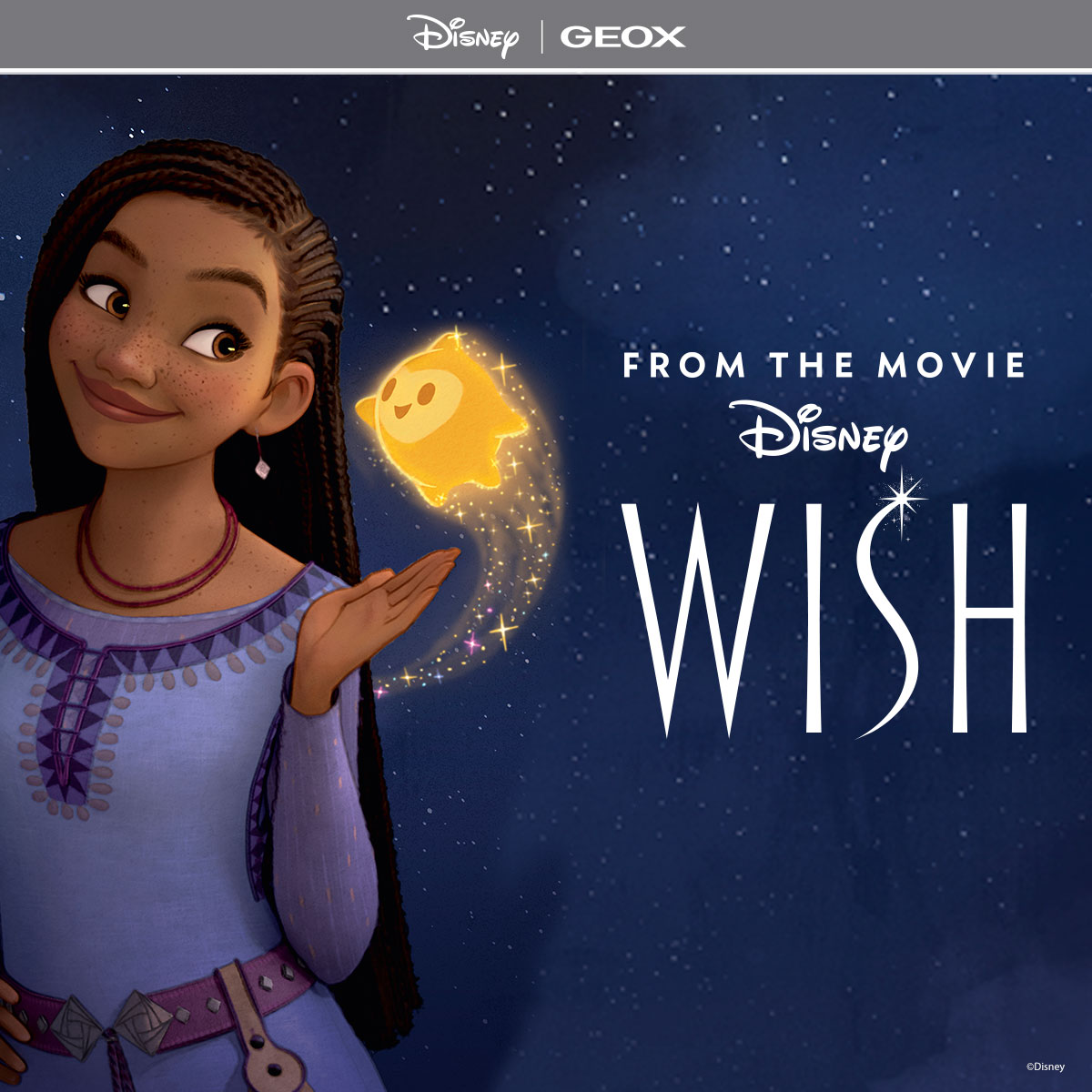  Disney: Wish